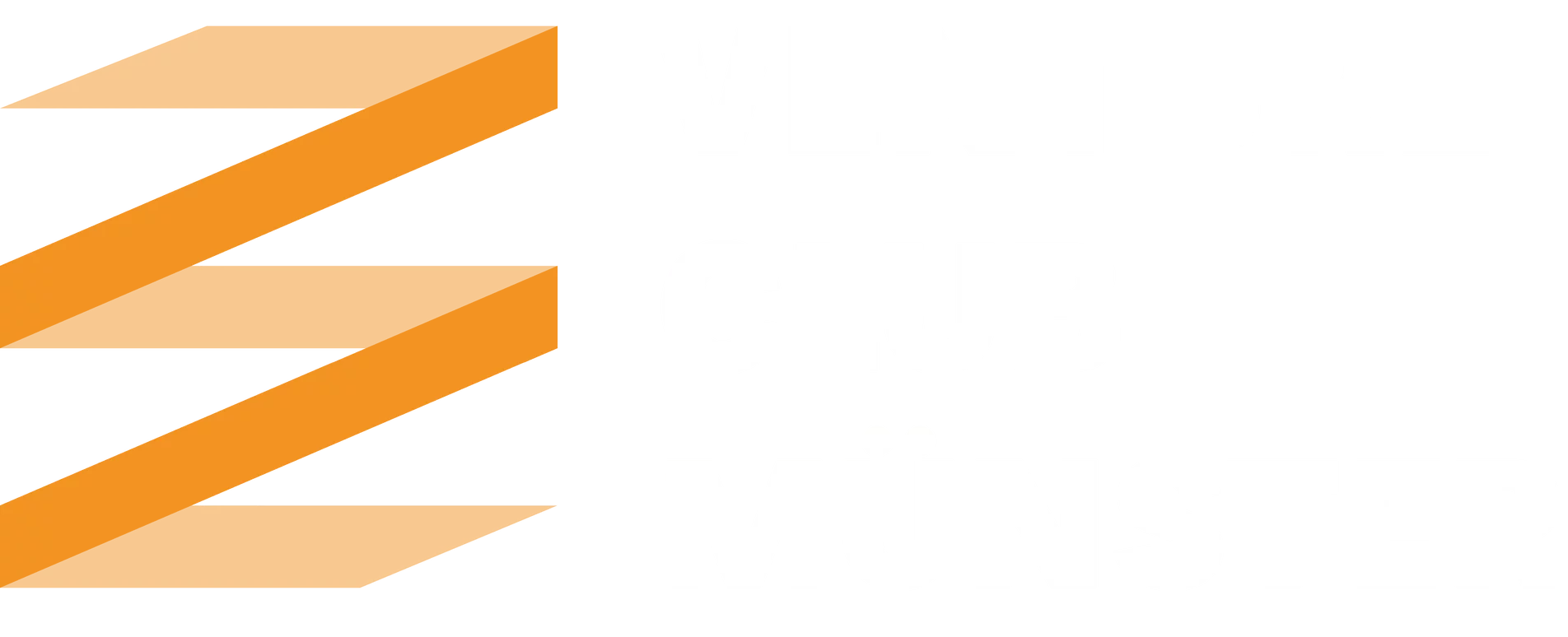 vcm münster logo